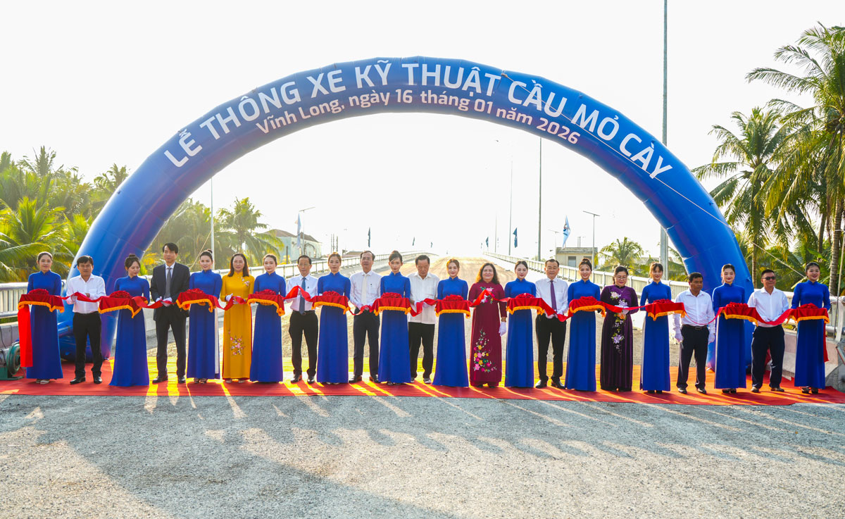 cau mo cay.jpg