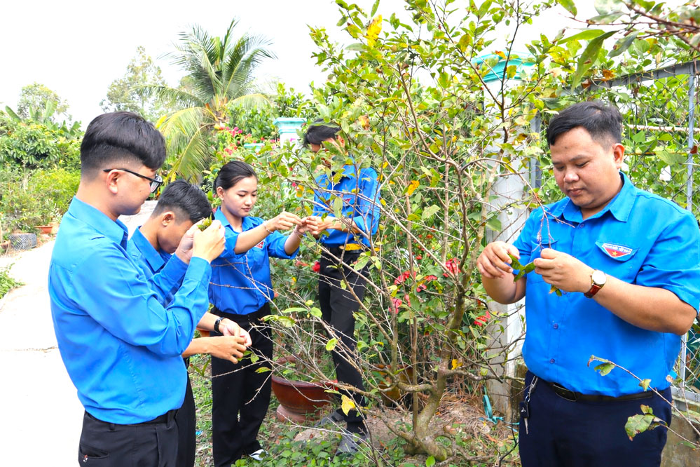 anh-2_20260220101333.jpg
